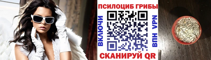 Галлюциногенные грибы Cubensis  blacksprut   Урюпинск 