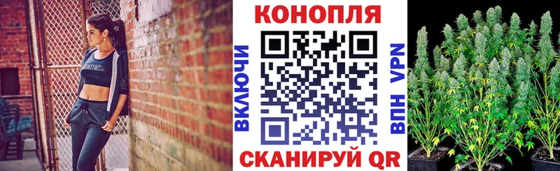 Шишки марихуана Ganja блэк спрут ссылка Урюпинск